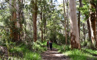 Why Trails Matter More Than Ever